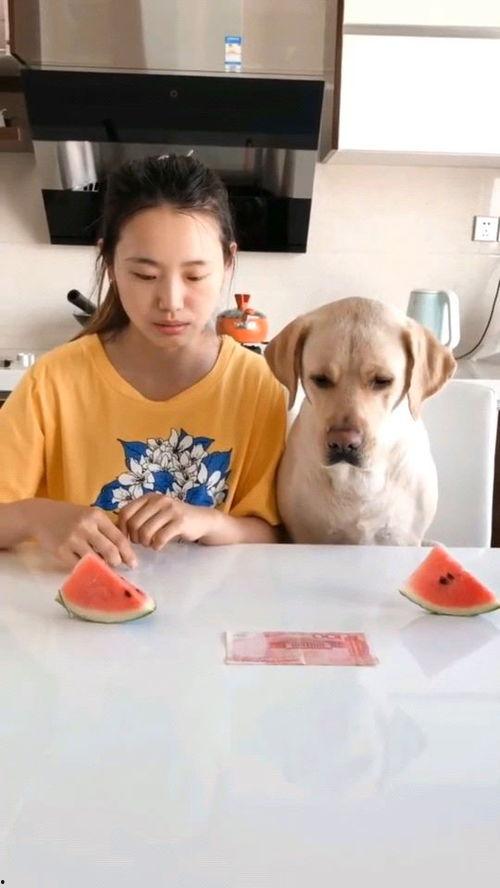 最近很火吃瓜视频大全,揭秘娱乐圈幕后真相