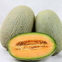 大师兄吃哈密瓜视频下载,视频下载攻略