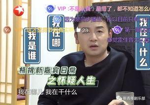 黄磊吃瓜视频表情包,演绎娱乐圈风云变幻