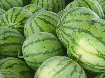 网红好看的视频吃瓜,一场视觉与味蕾的双重盛宴