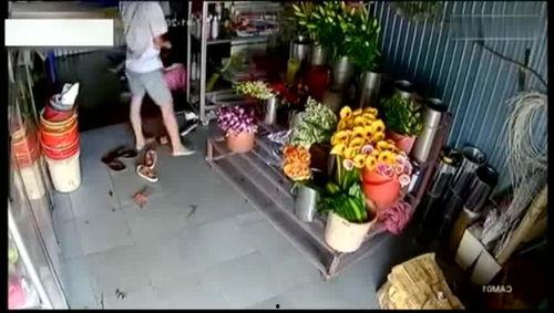 鲜花店老板吃瓜视频下载,鲜花店老板的吃瓜视频下载之旅