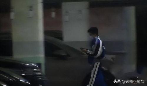 河南近期吃瓜新闻视频,一网打尽本土热点事件