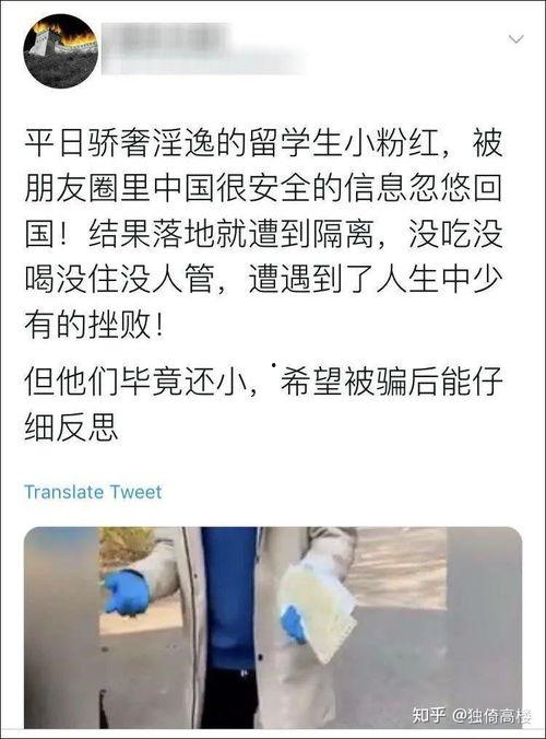 长沙校园吃瓜事件始末视频,揭秘校园网络舆论风波始末