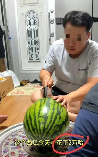 韩国人吃石头瓜视频播放,揭秘石头瓜美食背后的神秘传说