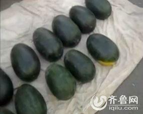 山东吃瓜中毒视频大全播放