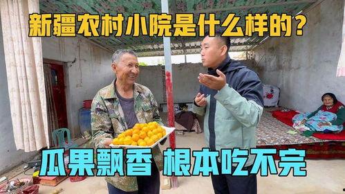 乡下小院吃瓜视频大全最新,揭秘小院吃瓜视频大全的甜蜜诱惑