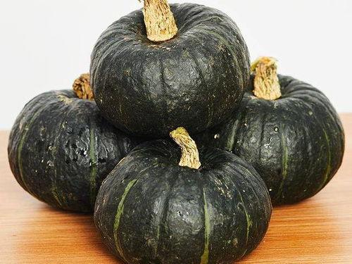 小宝宝吃贝贝瓜视频大全,贝贝瓜视频大全集锦